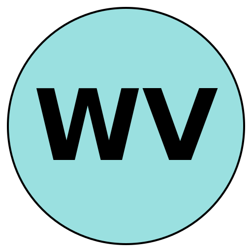 WiseVoyage
